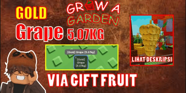 Gambar Product GOLD GRAPE 5.07KG - Grow a Garden