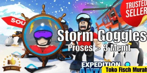Storm Goggles