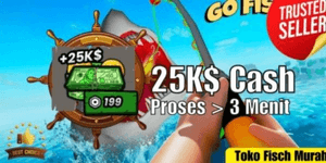25 000 $ d'argent