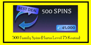500 Family Spins