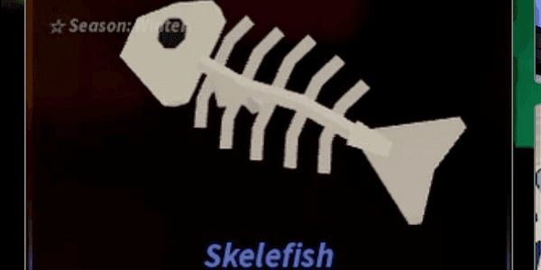 Gambar Product Skelefish (Limited) | Fisch