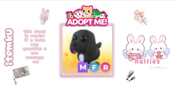 Gambar Product MFR Royal Palace Spaniel