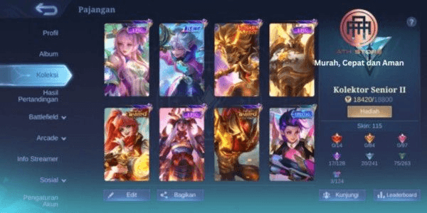 Product Showcase