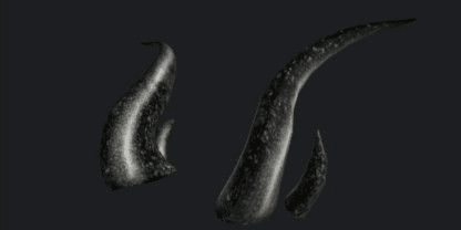 product-image-0