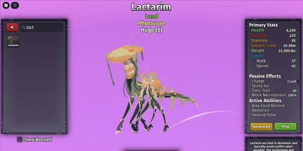 Gambar Product Lactarim