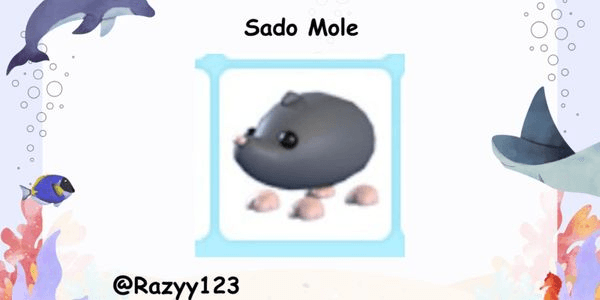 Gambar Product Sado Mole