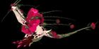 product-image-0