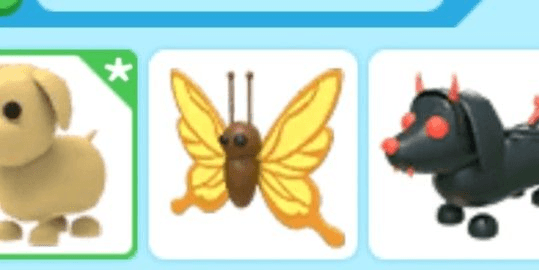 Gambar Product Yellow Butterfly