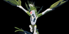 product-image-0