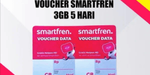 3GB (5 Hari)