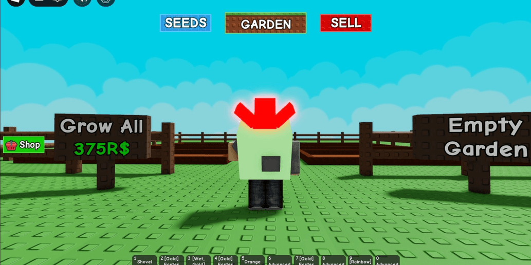 Product Showcase