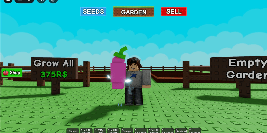 Product Showcase
