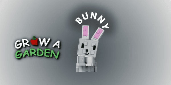 Gambar Product Bunny - Common Pet