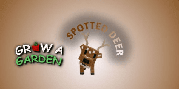 Gambar Product Spotted Deer - Rare Pet