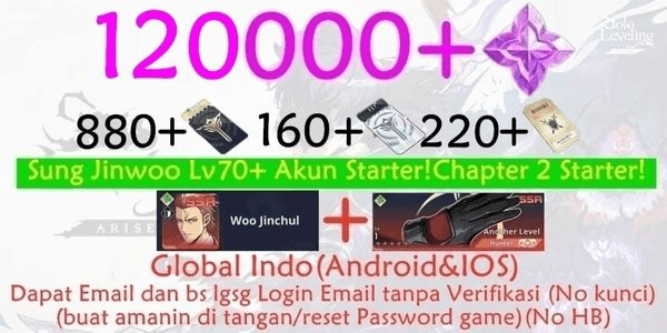 Gambar Product Solo leveling hoard account arise-2