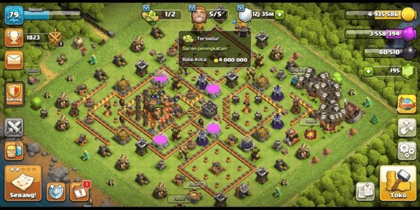 Gambar Product Town Hall 10 CHEAP & SAFE