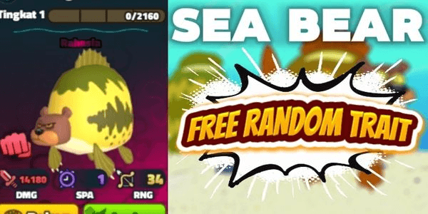 Gambar Product Sea Bear