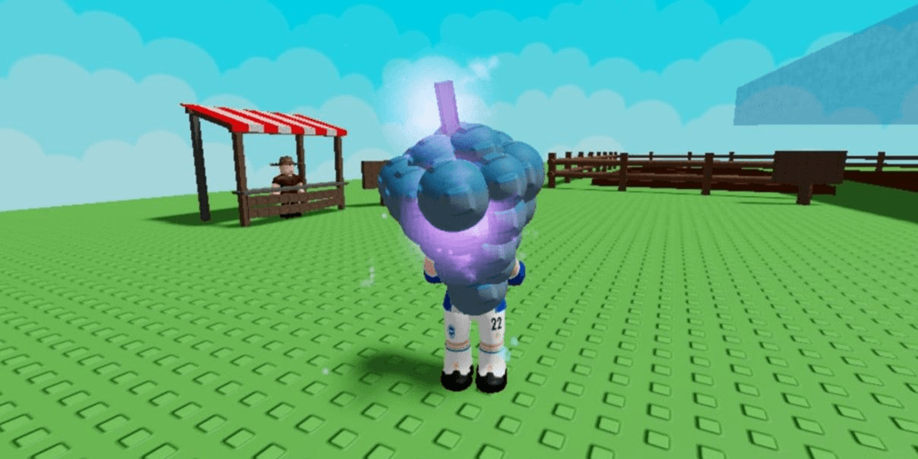 Product Showcase