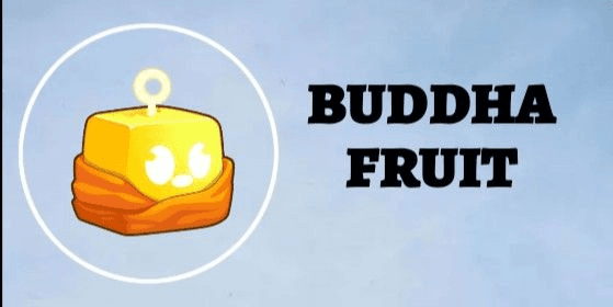 Gambar Product Buddha Fruit