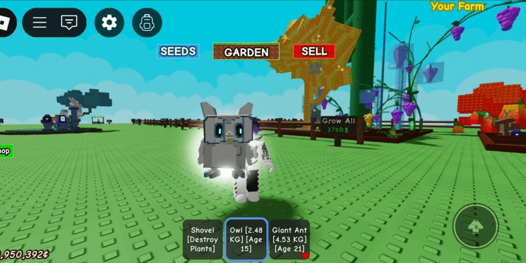 Product Showcase