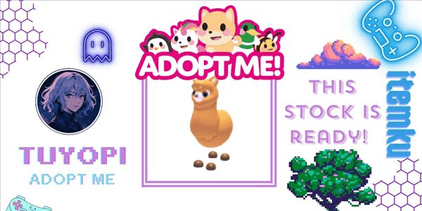 Gambar Product Alpaca