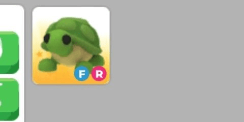 Gambar Product Fr turtle | adopt me