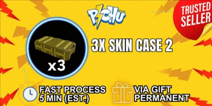 Skin Case 2 X3