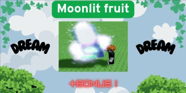 Gambar Product Moonlit fruit (3-6 point) | by dream