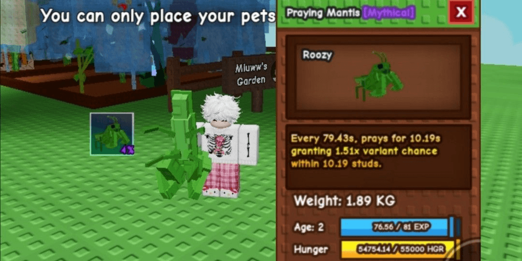 Product Showcase