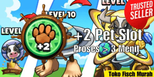 +2 Pet Slots
