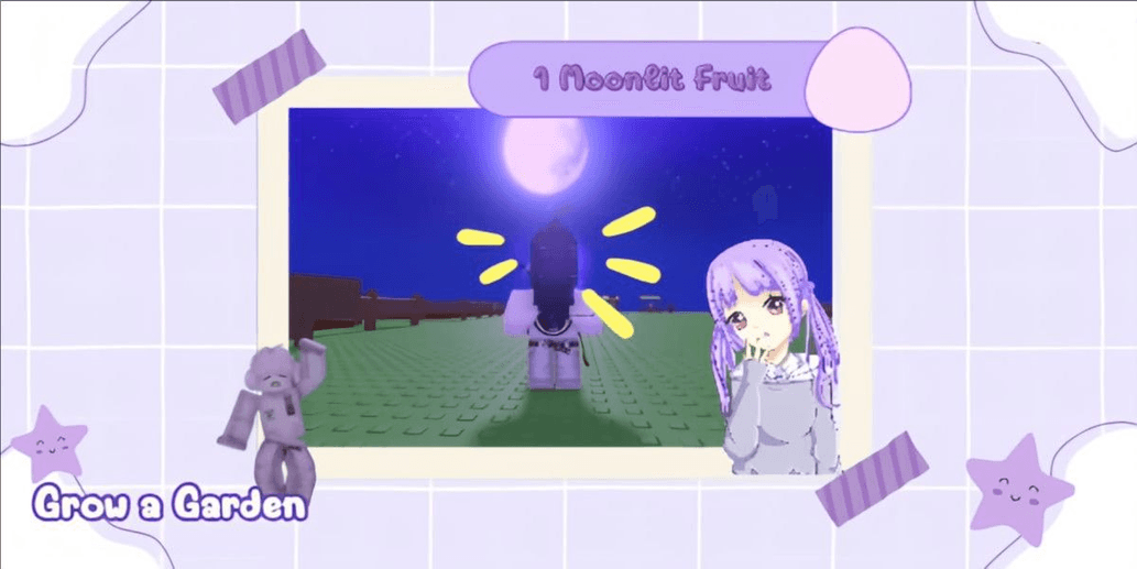 Product Showcase