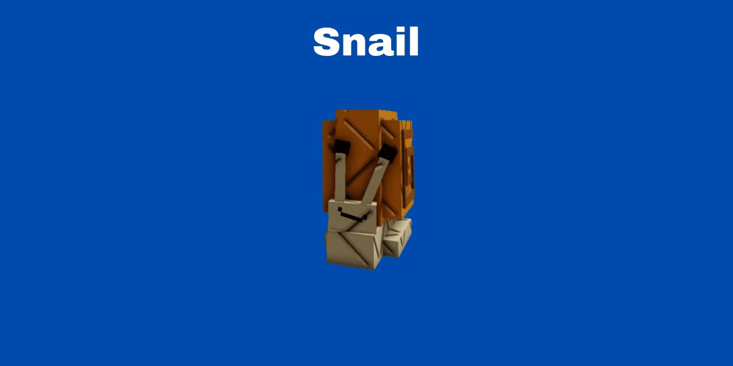 Product Showcase