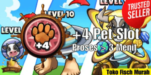 +4 Slots
