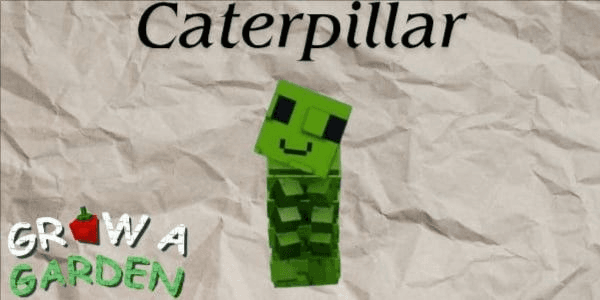 Gambar Product Catterpillar