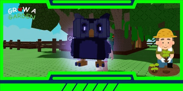 Night Owl | Trade Pet | Grow A Garden
