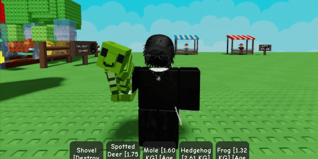 Product Showcase
