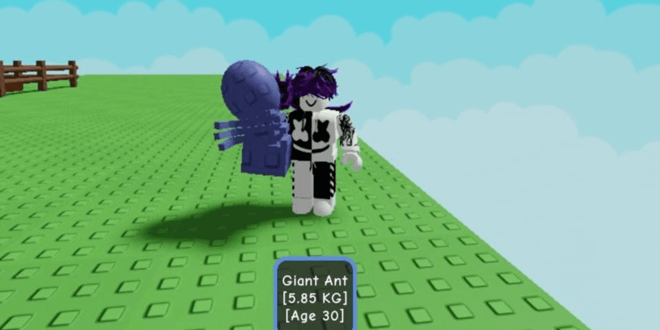Product Showcase