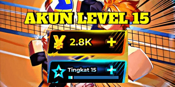 Gambar Product Akun Volleyball Legends Level 15