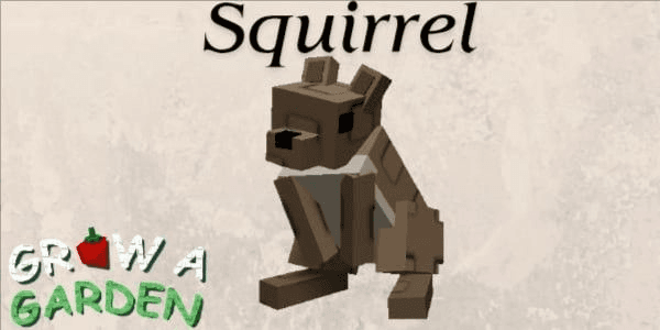 Gambar Product Squirrel