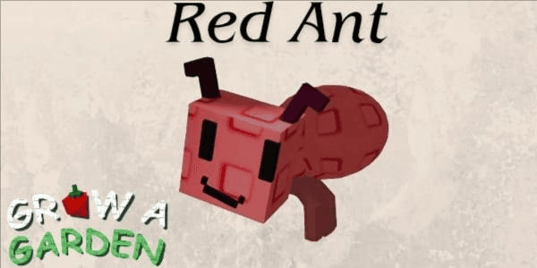 Gambar Product Red Giant Ant