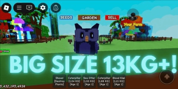 Product Showcase