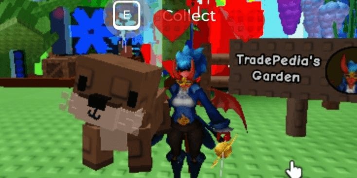 Product Showcase