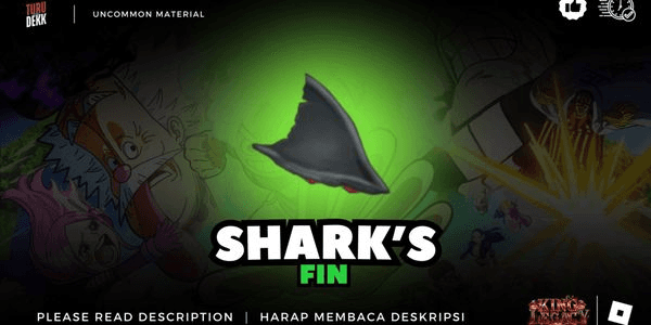 Gambar Product Shark's Fin