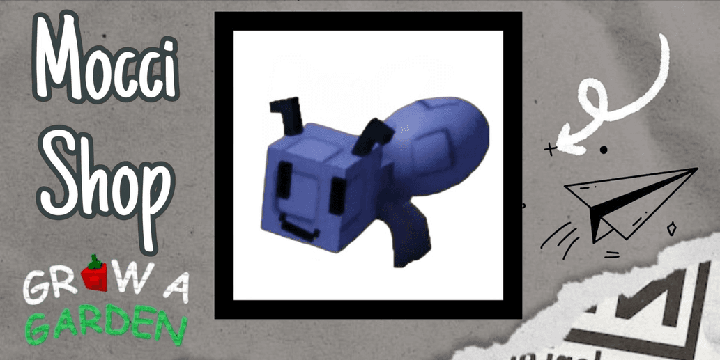 Product Showcase