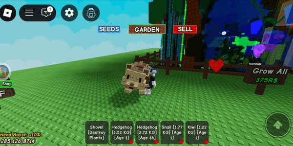 Gambar Product Pet Hedgehog (Grow A Garden) random kg