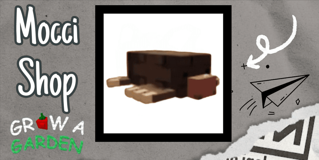 Product Showcase