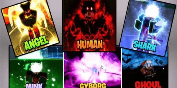 Gambar Product Blox Fruits |Lv2600+ |6 Races Full Gear V4 (Mink, Cybor, Fish, Sky, Ghoul, Human)|Godhuman|CDK|Random Luck (SGT) | Random Luck (Leopard+Trex)