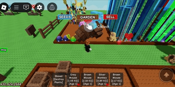 Akun Grow A Graden with 1 Cendy Blasoom