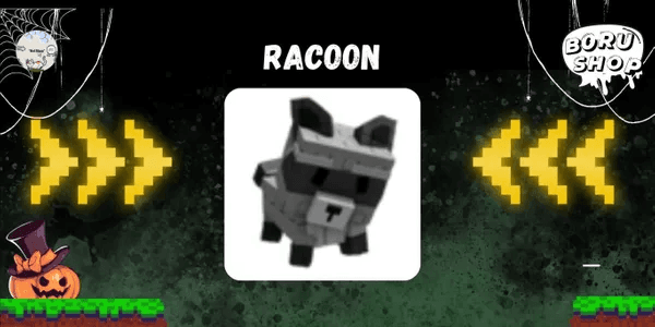 Raccoon
