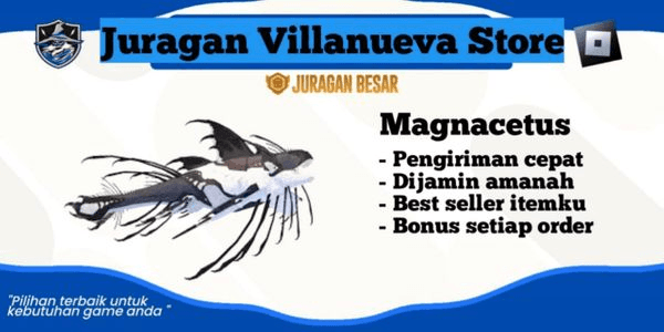 Gambar Product Magnacetus